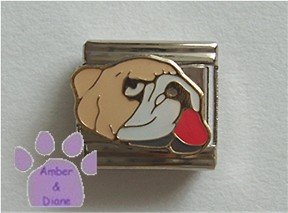 English Bulldog Italian Charm with his tongue hanging out