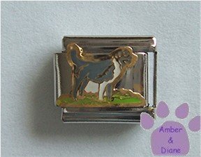Family Dog Italian Charm pet dog standing guard for his family