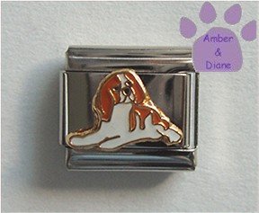 King Charles Cavalier Spaniel Dog Italian Charm Brown and White