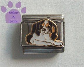 King Charles Cavalier Spaniel Dog Italian Charm Tri-colored