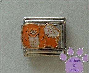 Pekingese Dog Italian Charm Peke Pup