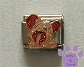 Skye Terrier Dog Italian Charm