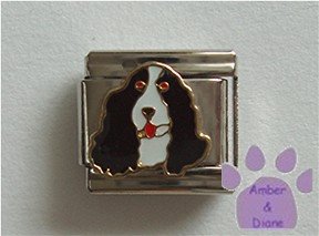 Springer Spaniel Dog Italian Charm Black and White