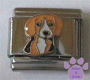 Very Cute Beagle Dog Italian Charm