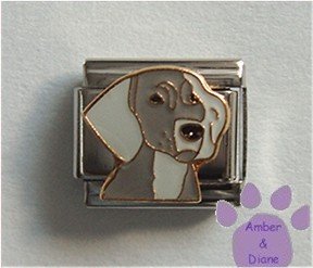 Weimeraner Dog Italian Charm Weimaraner Pup