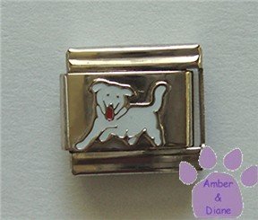 White Dog Italian Charm Puppy Running