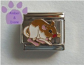 Gerbil Italian Charm Cute Pet Brown and White Gerbil