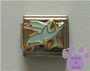 Two Dolphins Swimming Together Italian Charm