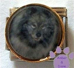 Gorgeous Gray Wolf Italian Charm