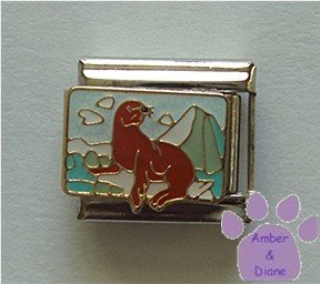 Seal on an Ice Flow Italian Charm with a Scenic background