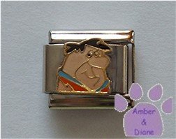 Fred Flintstone Italian Charm Close up