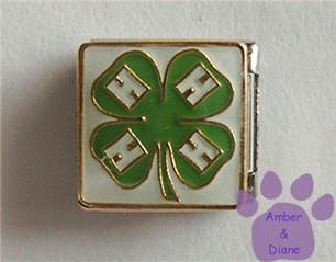 4 Leaf Clover 4 H Club Symbol Italian Charm