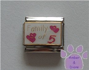 Family of 5 Italian Charm on white with 5 pink hearts