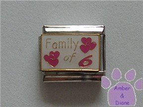 Family of 6 Italian Charm on white with 6 pink hearts