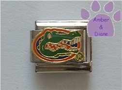 Gator Logo Italian Charm Florida Gators