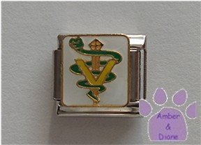 Veterinary Symbol Italian Charm on white