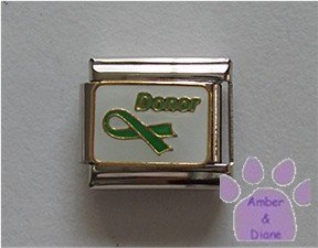 Donor Awareness Green Ribbon Italian Charm on white