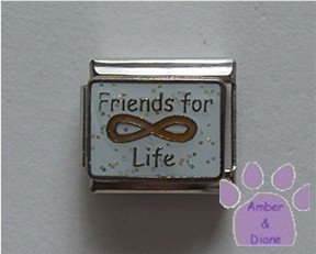 Friends for Life Italian Charm with the Eternity symbol