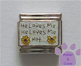 He Loves Me He Loves Me Not... Italian Charm with Daisies