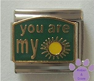 You are my Sunshine Italian Charm on Green Enamel