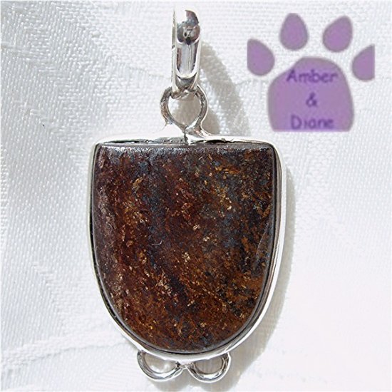 Petrified Wood Oval Sterling Silver Pendant in a simple frame