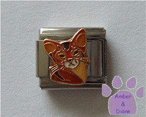Abyssinian Cat Italian Charm kitty face