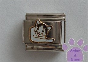 Black and White Cat Italian Charm