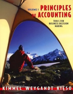 Principles of Accounting, Chapters 1-14 by Donald E. Kieso 0471475424