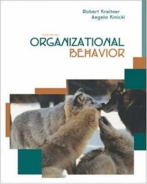 Organizational Behavior 6th by Angelo Kinicki 0072866586