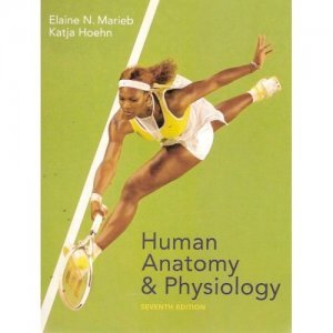 Human Anatomy & Physiology 7th Ed. by Marieb 0805359109