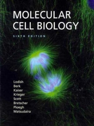 Molecular Cell Biology 6th by Harvey Lodish 0716776014