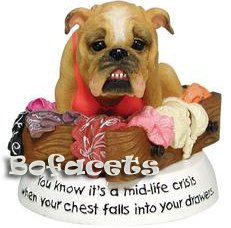 Collectible Zelda Wisdom BULLDOG Figurine - "Mid-life Crisis"