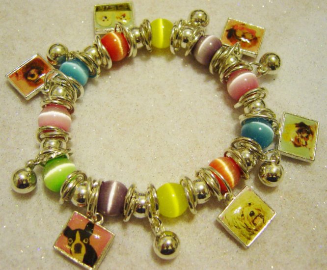 NEW DOGGIE CHARM Bracelet Multi Colorful-Beads & Charms