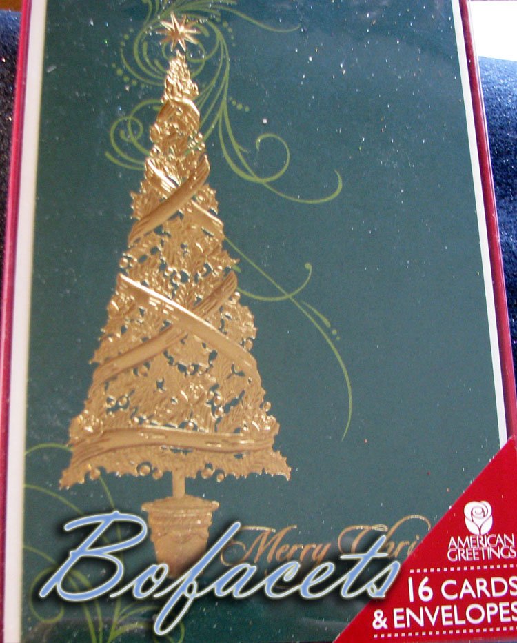 AMERICAN GREETINGS "Bright and warm wishes for a season trimmed with joy" 16 Cards & Envelopes