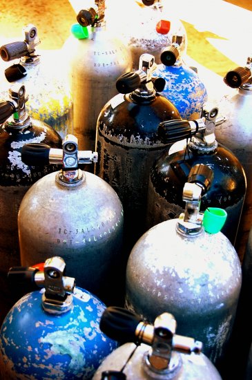 DIVE ART "Bottles"