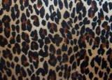 Large leopard hammock