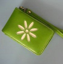 Case for IPOD Video ICP-14V
