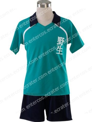 Inazuma Eleven Yasei School Soccer Uniform Cosplay Costume any size