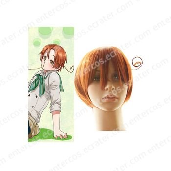 35cm Axis Powers Hetalia Cosplay Wig