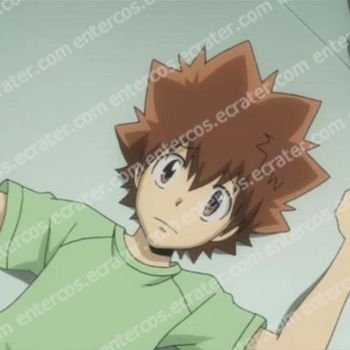 Hitman Reborn Sawada Tsunayoshi Cosplay Wig