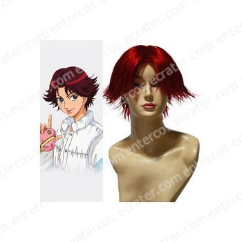 The Prince Of Tennis Kikumaru Eiji Cosplay Wig
