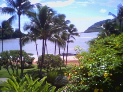 Trip for Two to Kauai ! Cheap Vacation!