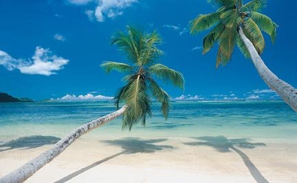 Go to Hawaii from US Canada for two Coach ! Cheap Vacation!