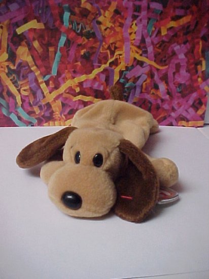 Bones the Dog