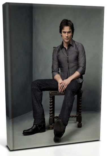 Vampire Diaries Damon Salvatore (1) Canvas Print 20 x 24 (Print Run Limited to 50)