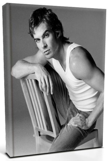 Vampire Diaries Damon Salvatore (3) Canvas Print 20 x 24 (Print Run Limited to 50)