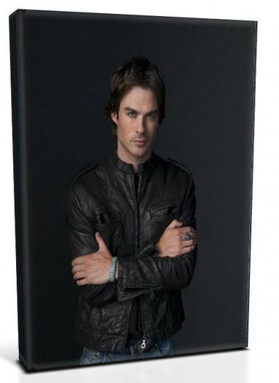 Vampire Diaries Damon Salvatore (4) Canvas Print 20 x 24 (Print Run Limited to 50)