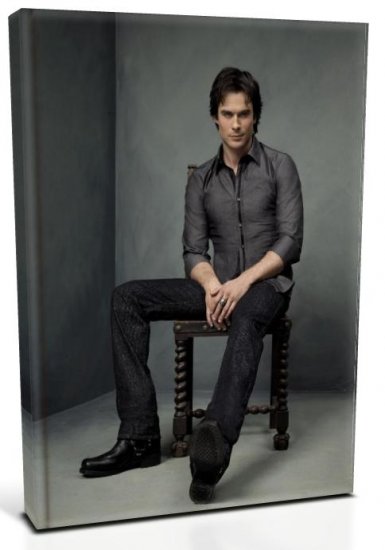 Vampire Diaries Damon Salvatore (1) Canvas Print 12 x 16 (Print Run Limited to 50)