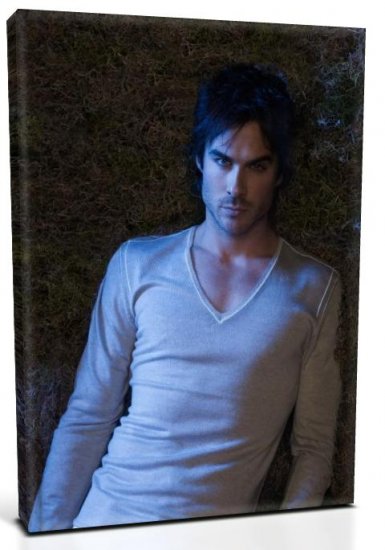 Vampire Diaries Damon Salvatore (2) Canvas Print 12 x 16 (Print Run Limited to 50)