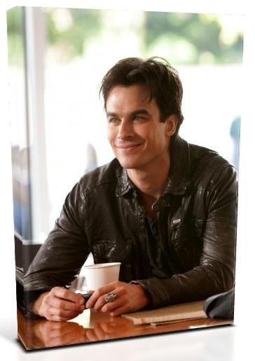 Vampire Diaries Damon Salvatore (10) Canvas Print 12 x 16 (Print Run Limited to 50)